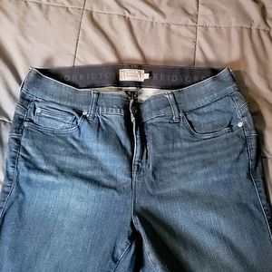 Torrid Jeans